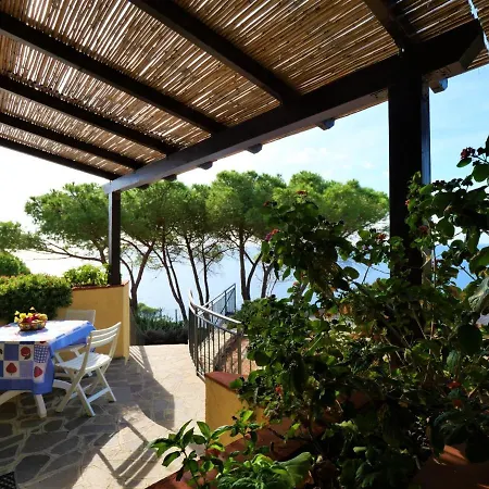 Oasis 2 By Interhome Διαμέρισμα